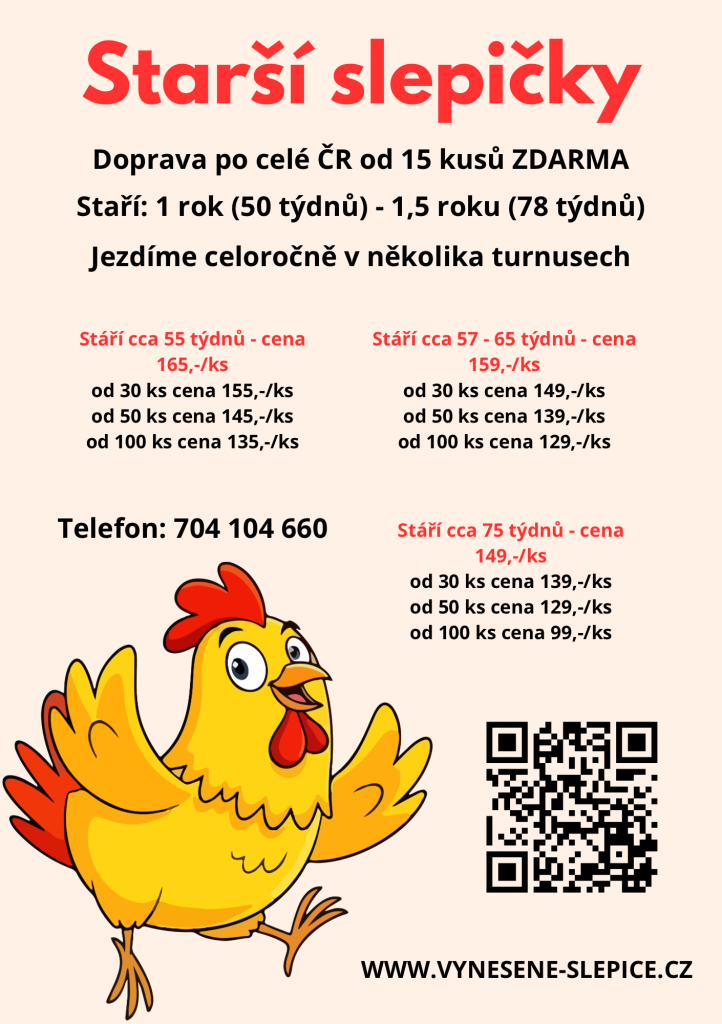 starší slepičky