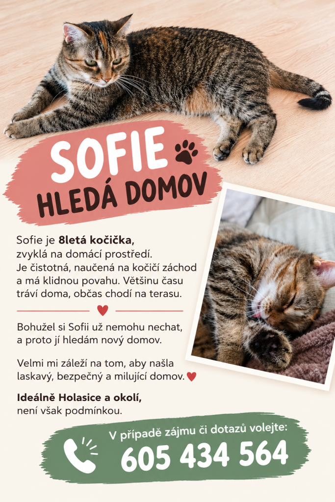 adopce