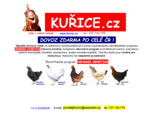 Kuřice
